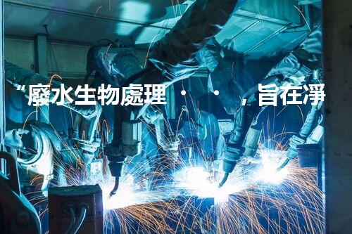 “廢水生物處理，旨在凈化水源，守護(hù)碧水藍(lán)天”
